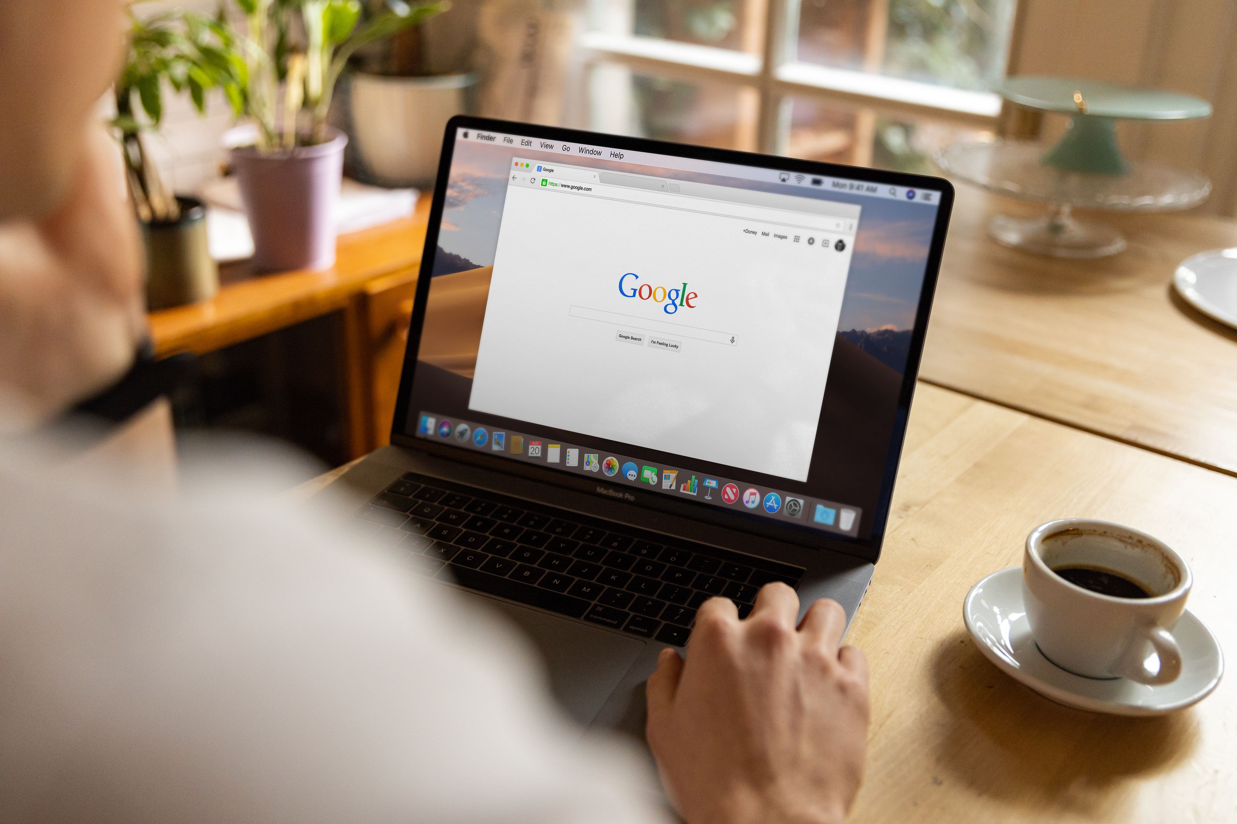 Person using Google search on a laptop — SEO vs AEO for Sarasota businesses